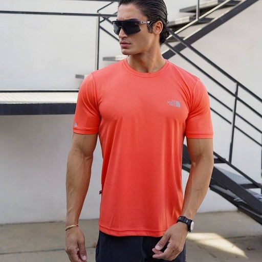 تیشرت تنفسی north face