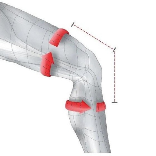 زانوبند طبی سنسی‌پلاست Knee Brace GENUA ACTIVE